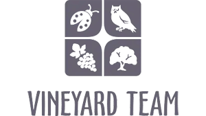 Vineyard Team logo