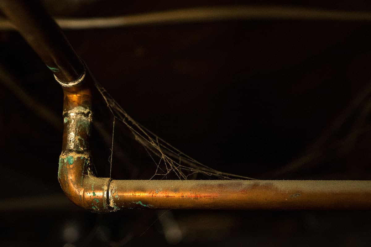copper water pipe in basement with spiderwebs