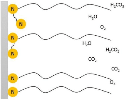 Amines chart