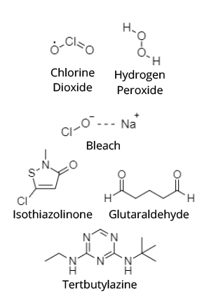 image example