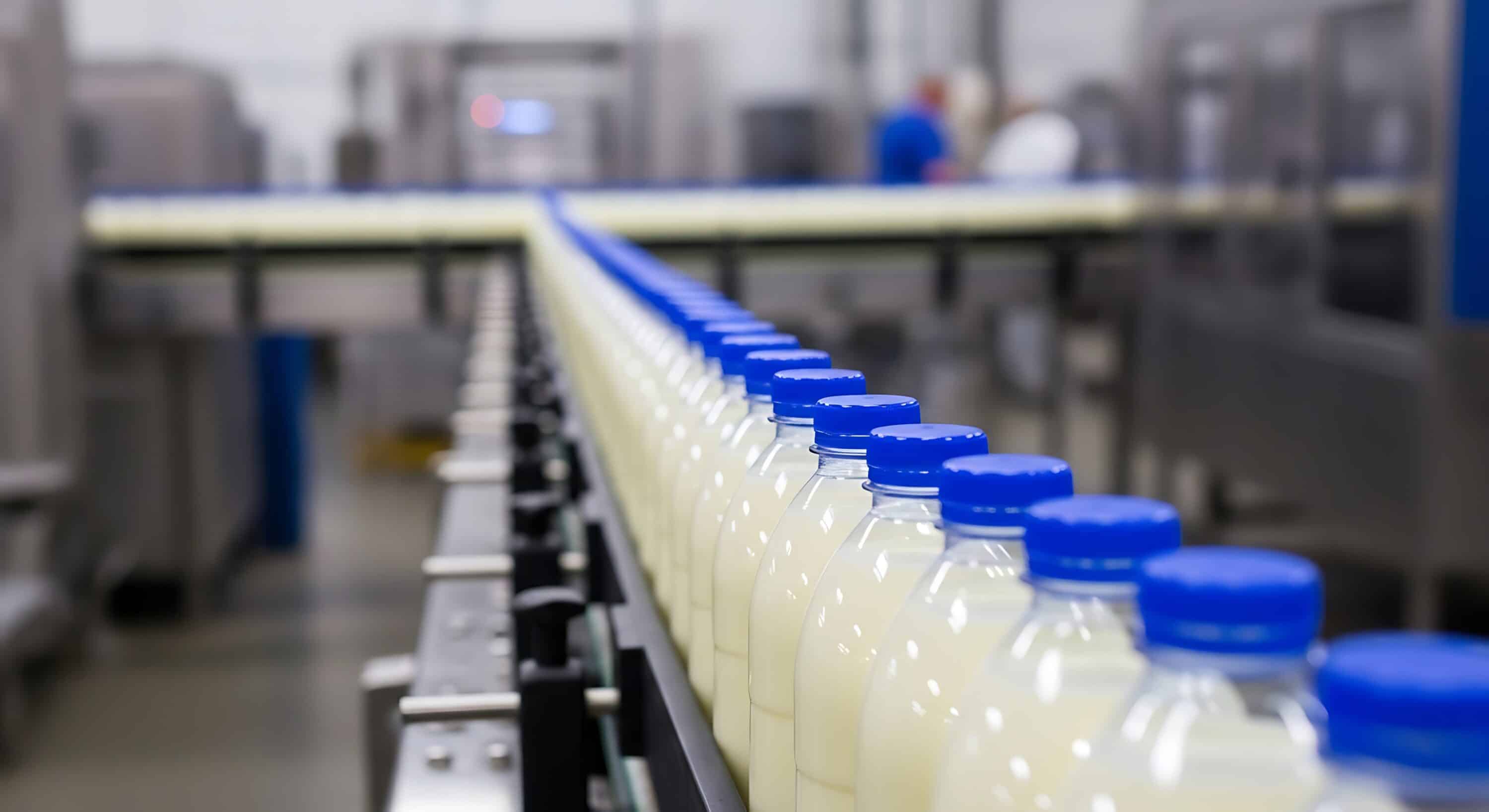 Dairy processing line